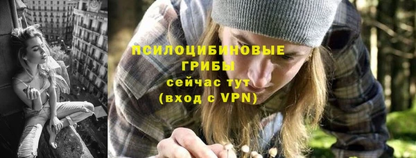 дмт Армянск