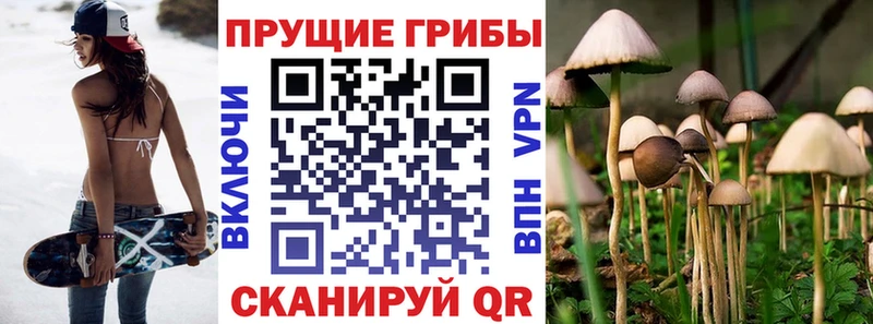 Псилоцибиновые грибы мухоморы купить наркотик Ахтубинск